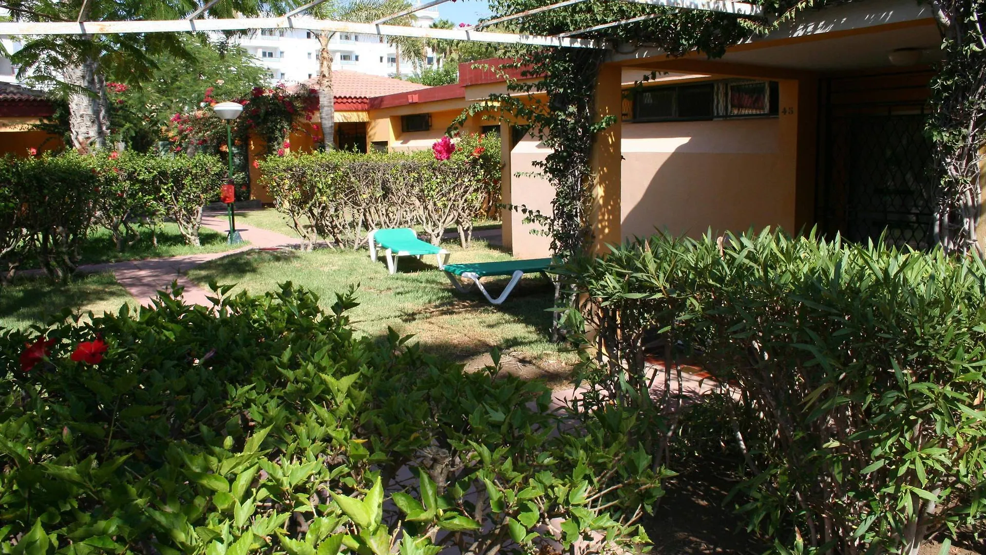 Gay Bungalows Artemisa - Men Only Playa del Ingles  Apartment